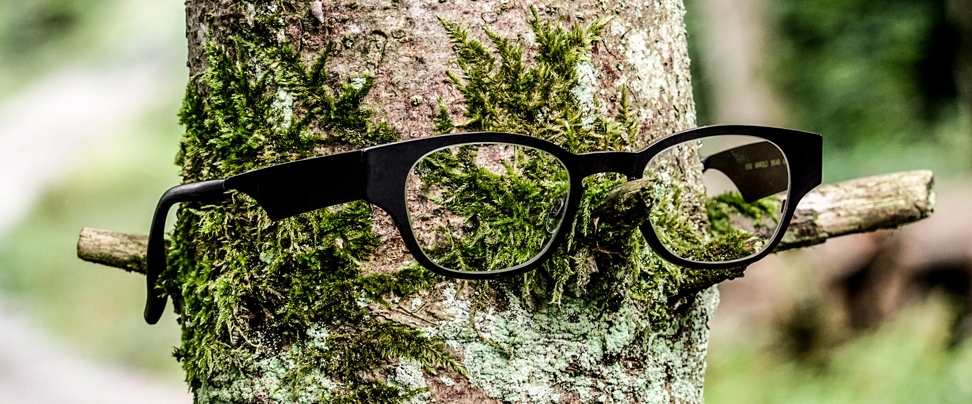 Optik Zeugin - Einblicke